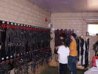 227.jpg (48331 Byte)