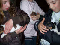 ponyhof_20100002.jpg (40417 Byte)