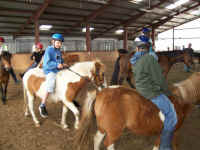 ponyhof_20100004.jpg (47486 Byte)
