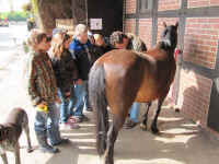 ponyhof_20100009.jpg (42774 Byte)